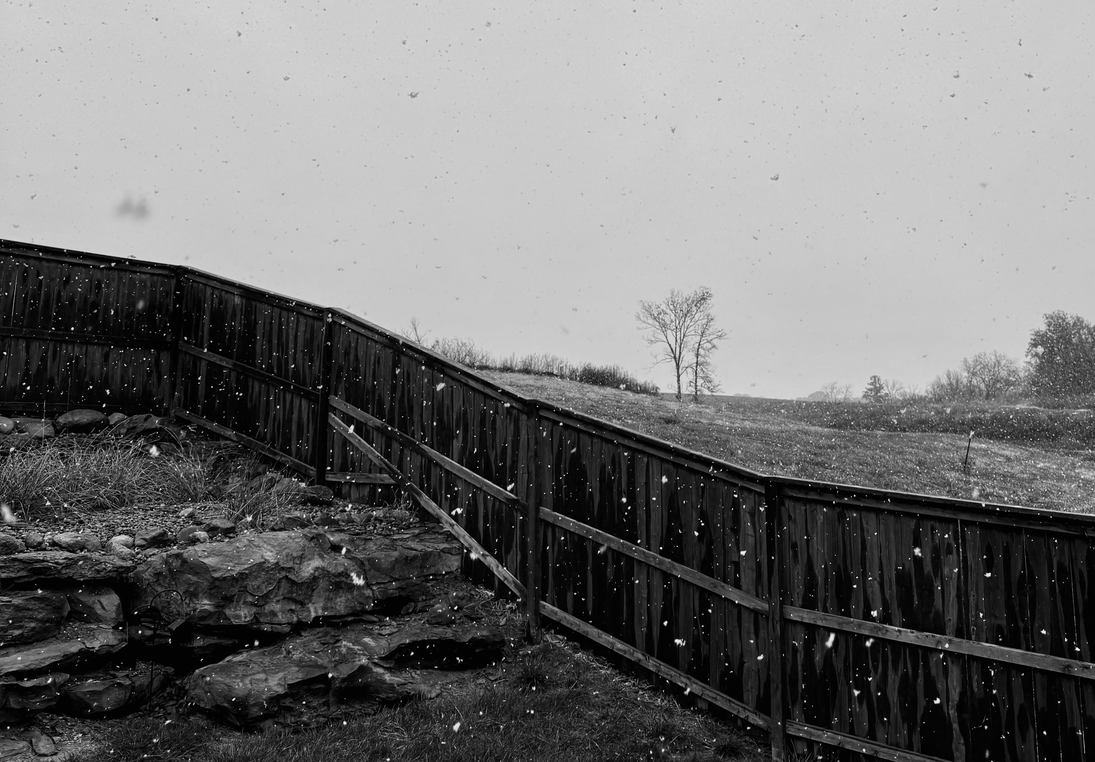 Navigating Life’s Storms Together